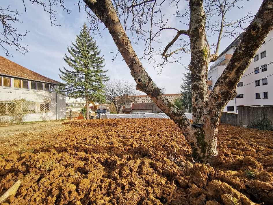 Programme immobilier neuf besançon