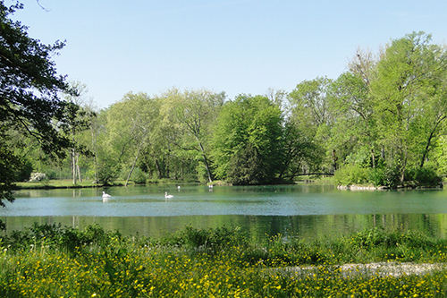 Le Domaine Veil Picard à Diénay