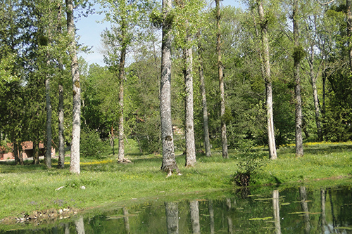 Le Domaine Veil Picard à Diénay