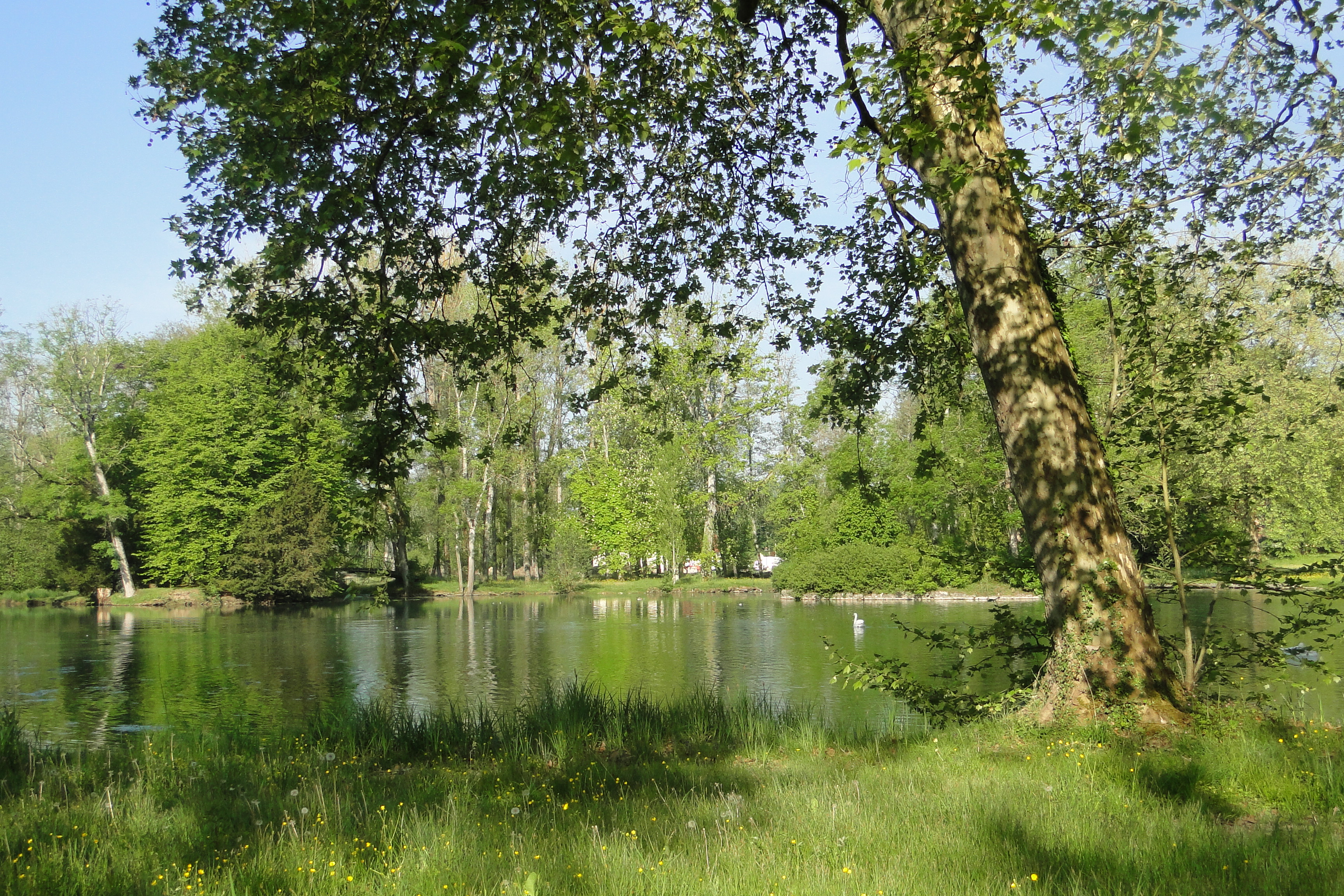 Construisez votre maison sur un magnifique terrain à Dienay