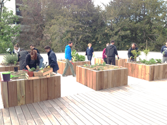 SMCI Gabriel, les jardins partagés à Lyon 9