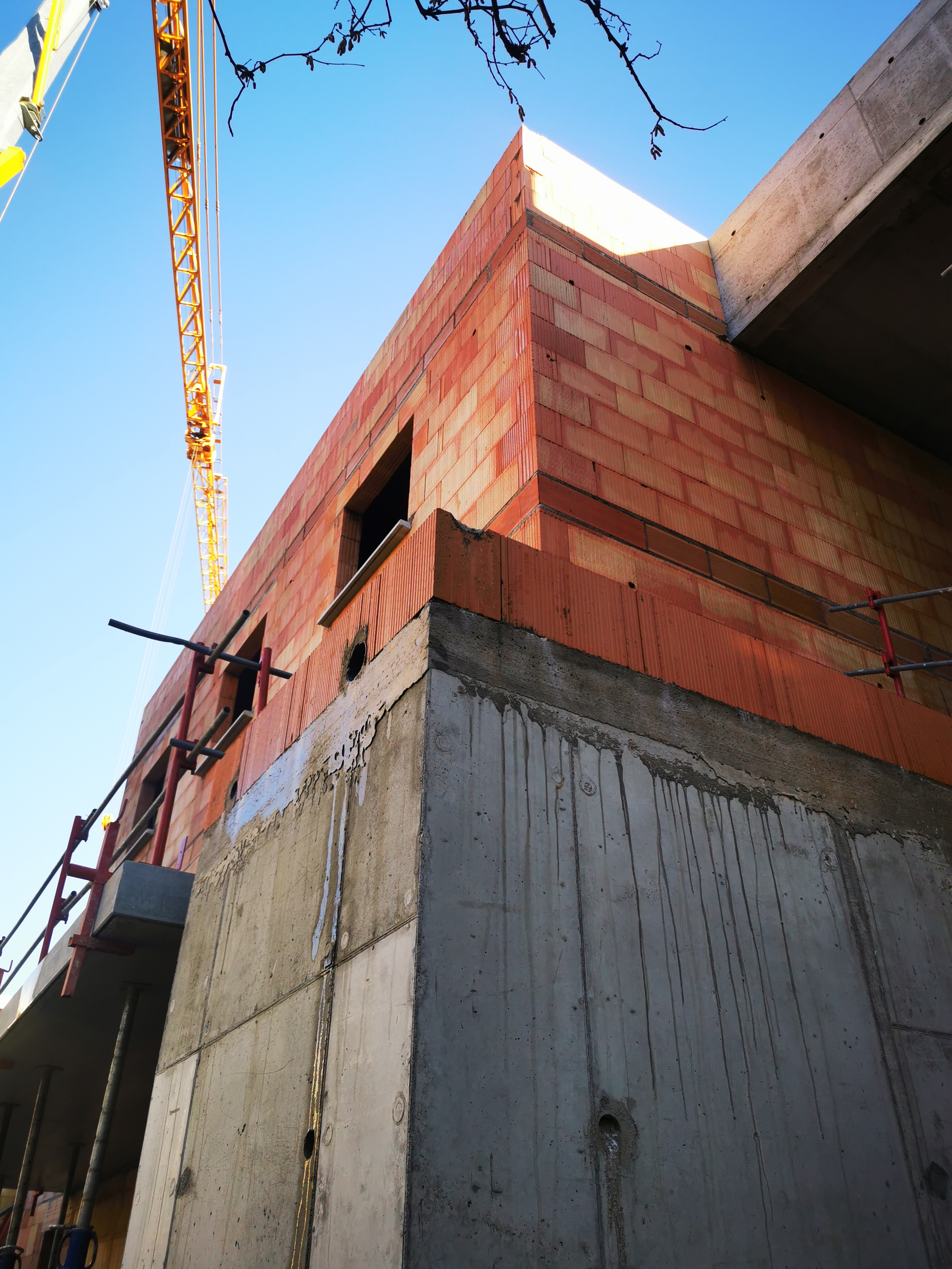 Chantier du Verger Partagé à Besançon