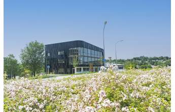 Immeuble de bureaux à Temis